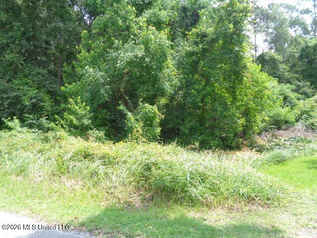 Wayne Lane Biloxi, MS 39532 - Photo 5 of 5 DSC06147