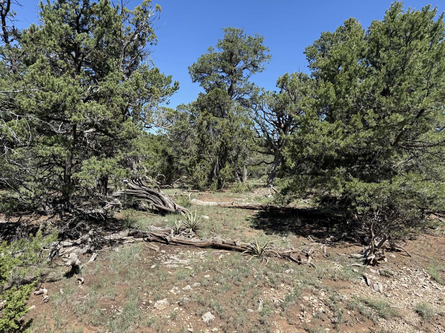 81 Felsic Road Grants, NM 87020 - Photo 18 of 33 Gallery Image 18