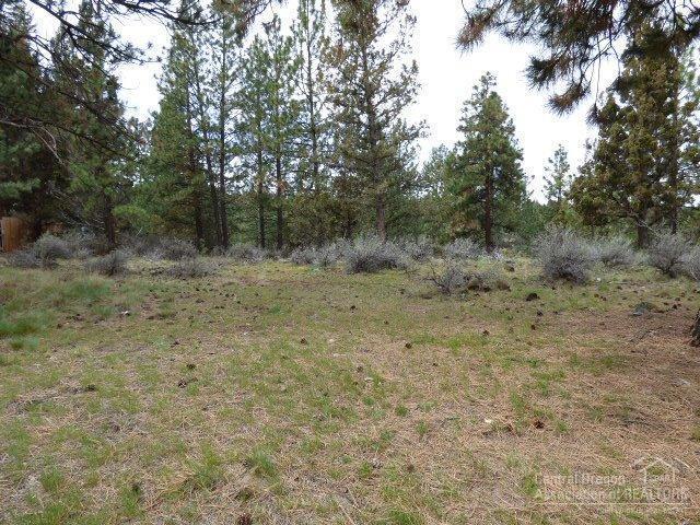 3202 McClellan Road Bend, OR 97702 - Photo 13 of 25 a view of a dry yard with trees in the background