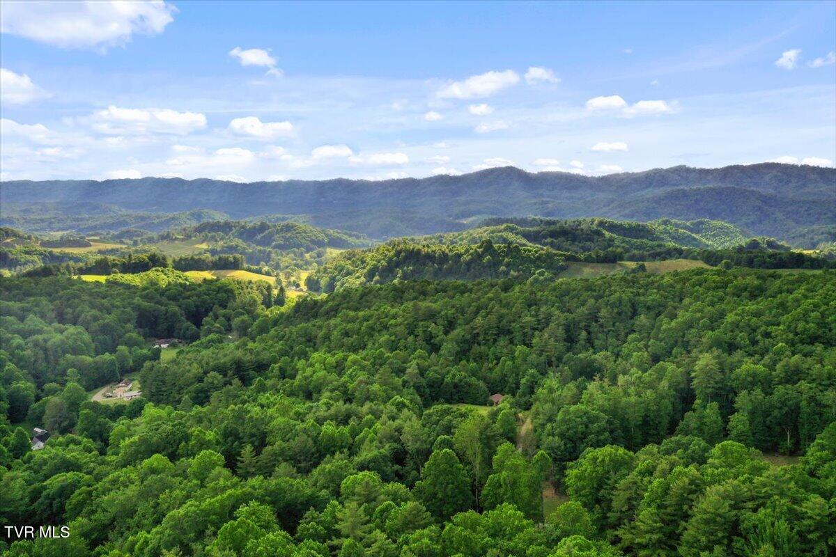 1258 Hawkins Road Laurel Bloomery, TN 37680 - Photo 21 of 29 21-DJI_0233