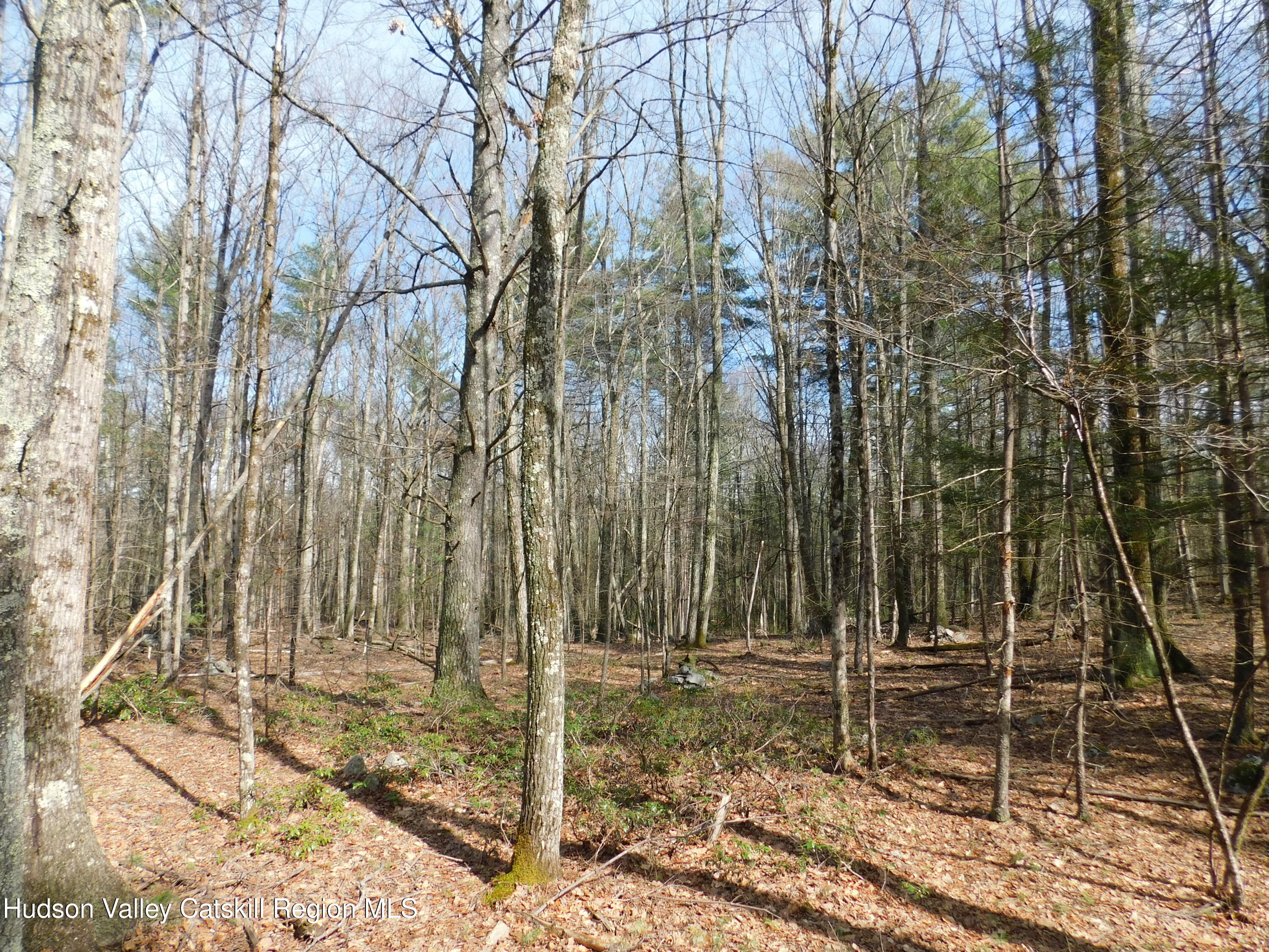 Tbd Wright Road Kerhonkson, NY 12446 - Photo 15 of 19 DSCN5475