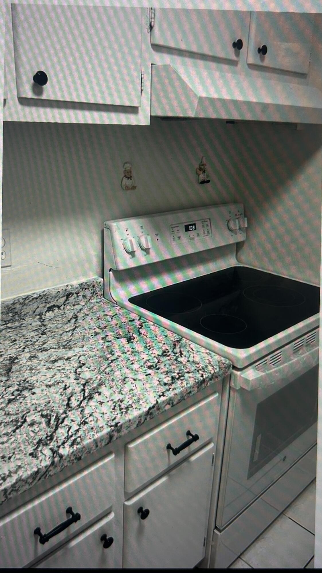 650 Southwest 2nd Avenue, Unit 2490 Boca Raton, FL 33432 - Photo 9 of 18 a close view of stove