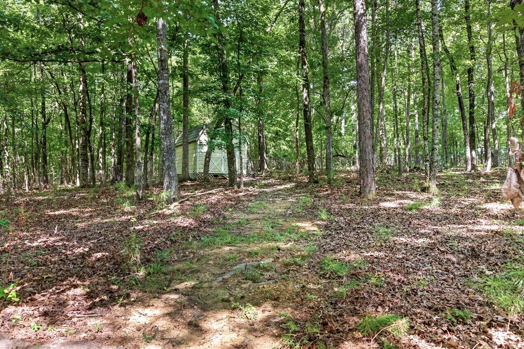 182 Kingson Road Fortson, GA 31808 - Photo 39 of 42 Gallery Image 39