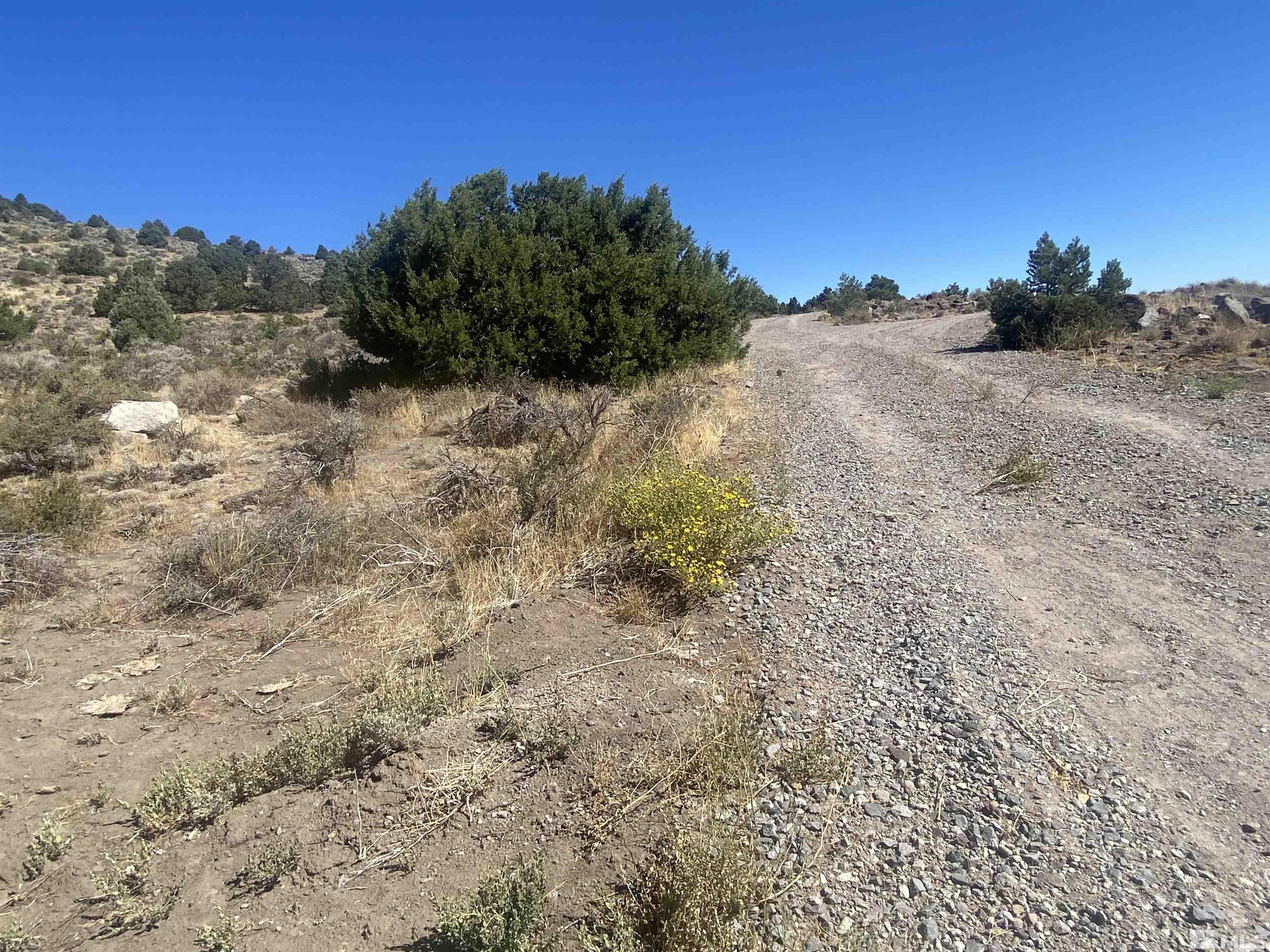 27600 Lousetown Road, Unit 276SA & B Reno, NV 89521 - Photo 38 of 39 a view of a dry yard with trees