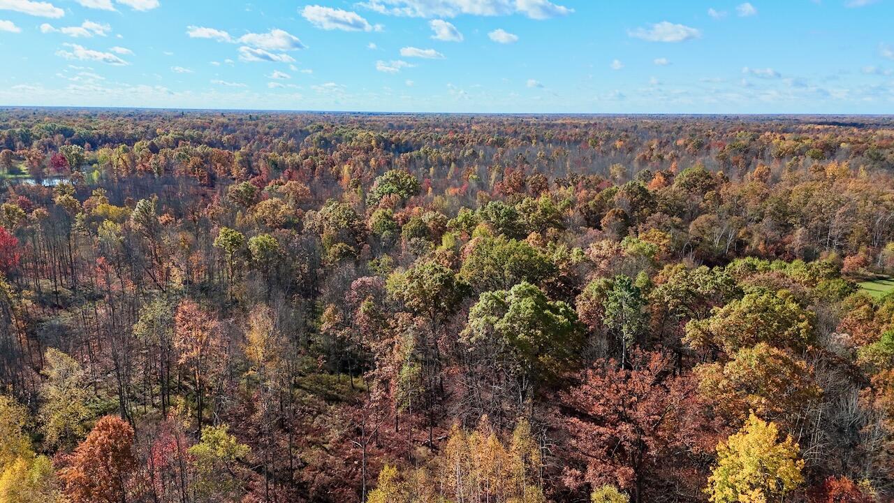 West Beamish Road Sanford, MI 48657 - Photo 1 of 27
