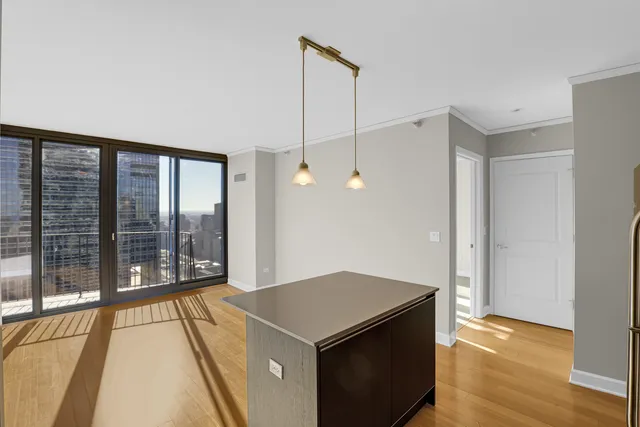 $2,900 | 225 North Columbus Drive, Unit 5311, Chicago, IL 60601