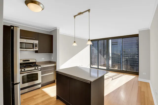 $2,900 | 225 North Columbus Drive, Unit 5311, Chicago, IL 60601