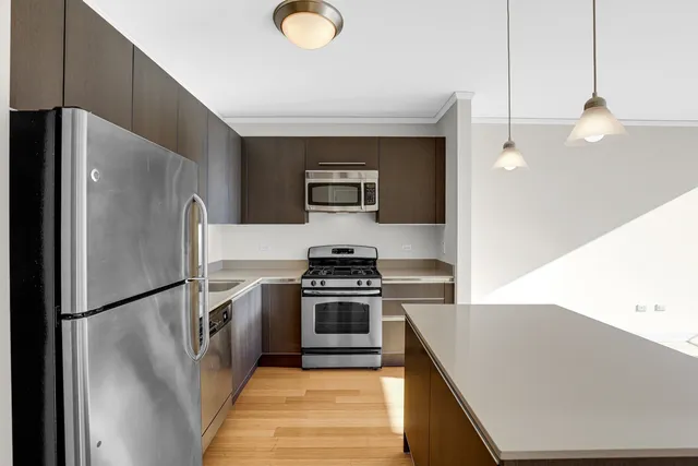 $2,900 | 225 North Columbus Drive, Unit 5311, Chicago, IL 60601