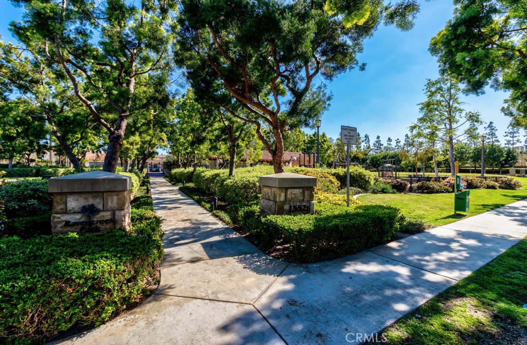 8 Zinnia Irvine, CA 92618 - Photo 6 of 39 a view of a garden with plants and large trees