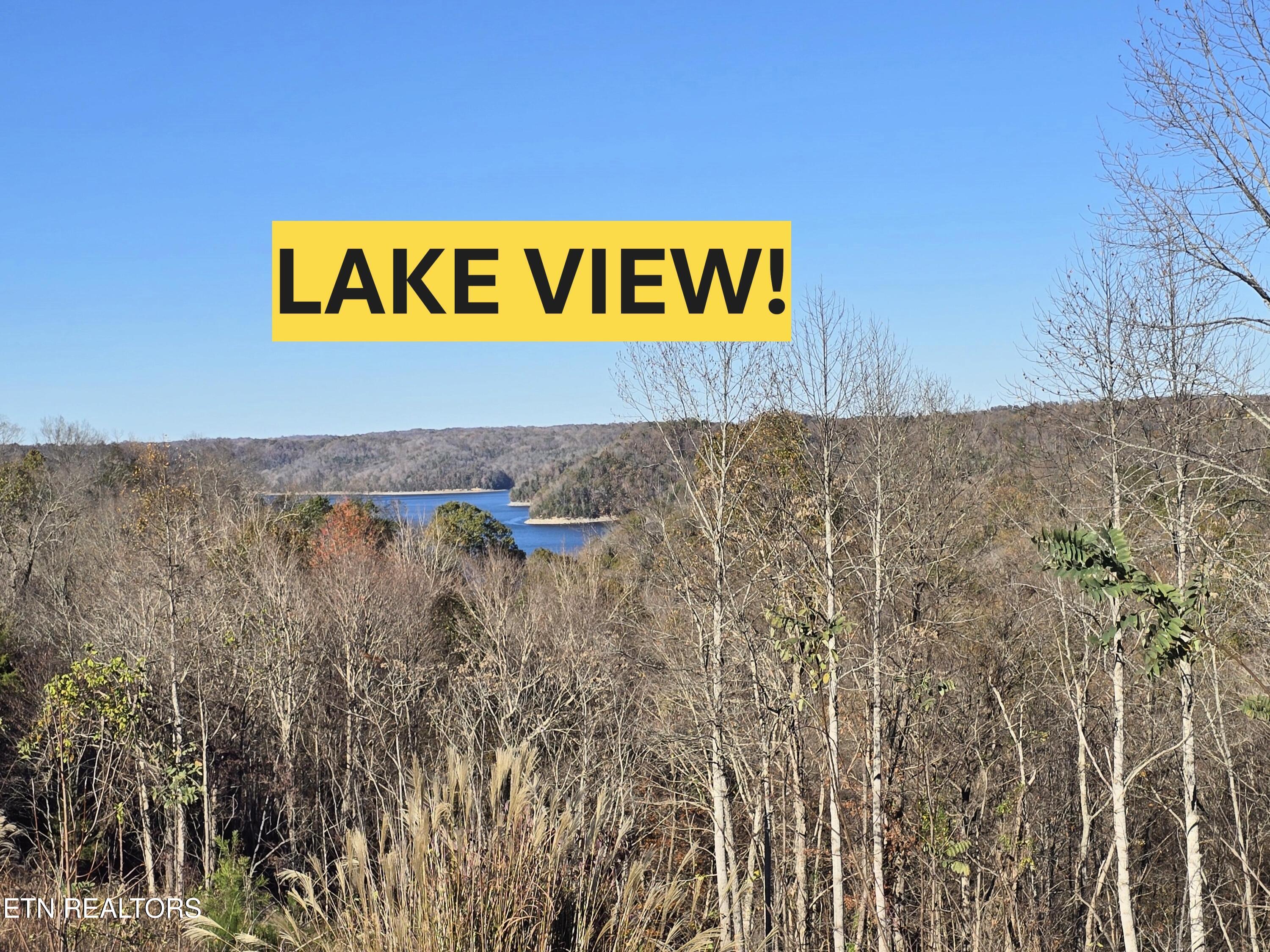 Stoney Point Road Byrdstown, TN 38549 - Photo 6 of 6 20241111_140331B