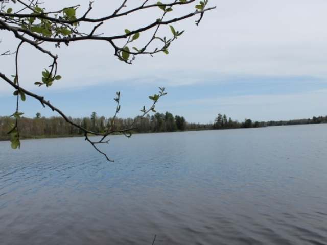 4960 Musky Point Road Mercer, WI 54547 - Photo 16 of 20 Gallery Image 16