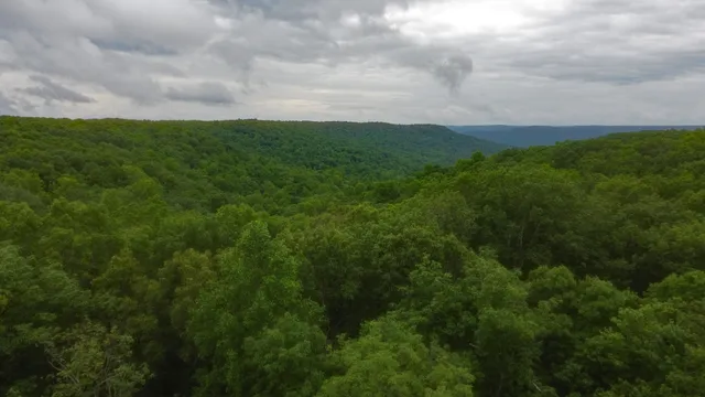 $575,000 | 943 Old C C C Road, Sherwood, TN 37376