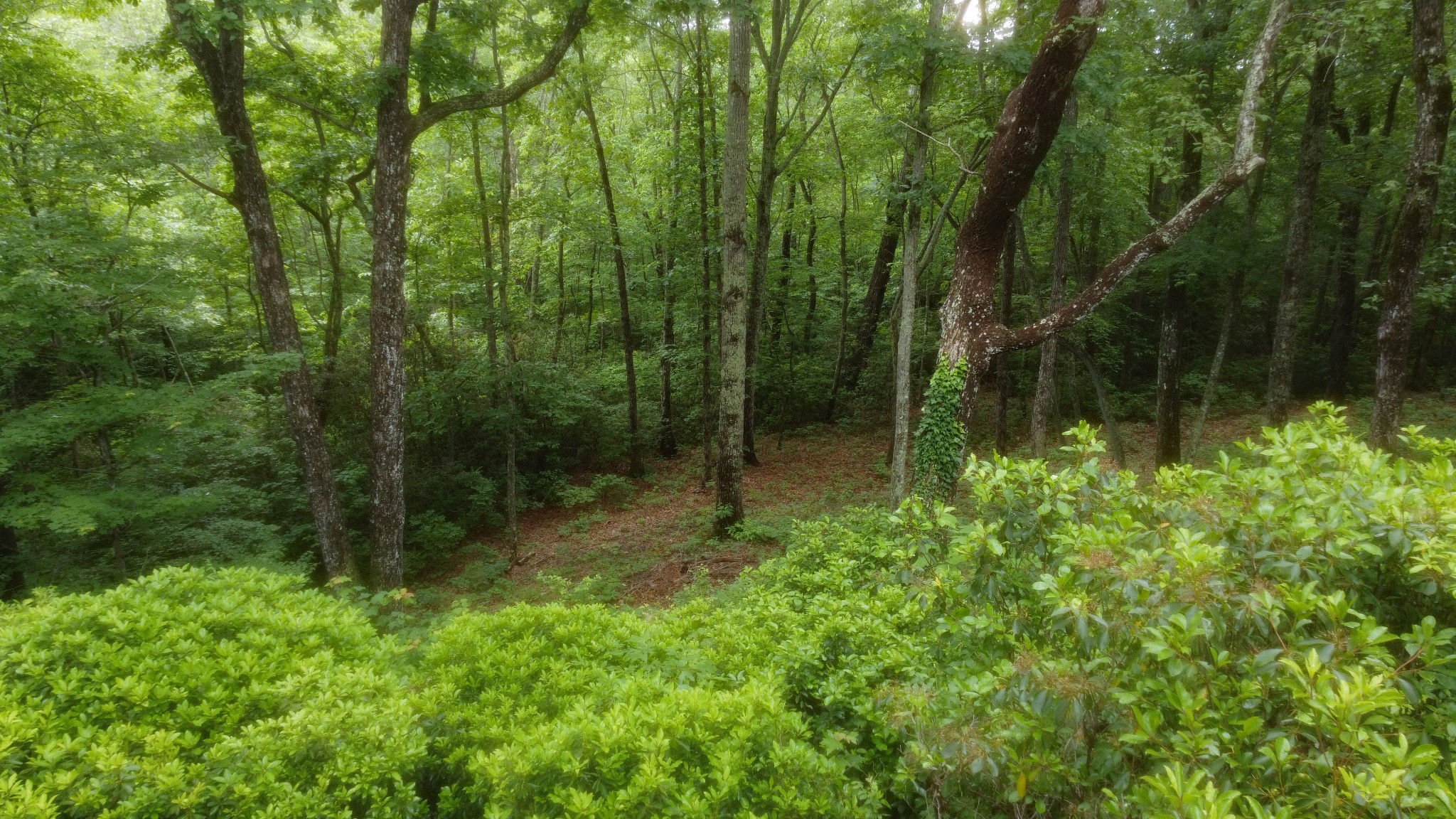 943 Old C C C Road Sherwood, TN 37376 - Photo 51 of 64