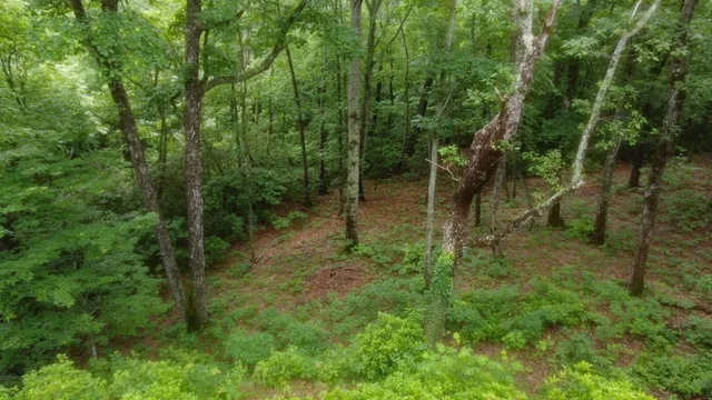 $575,000 | 943 Old C C C Road, Sherwood, TN 37376