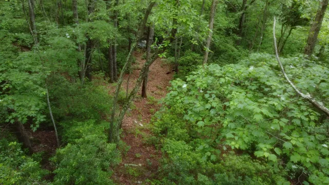 $575,000 | 943 Old C C C Road, Sherwood, TN 37376