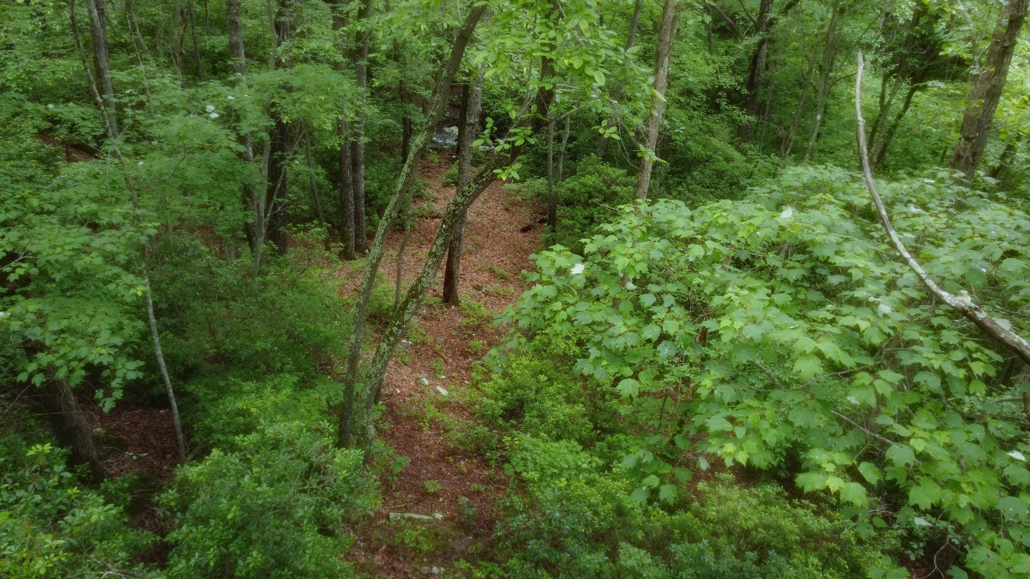 943 Old C C C Road Sherwood, TN 37376 - Photo 54 of 64