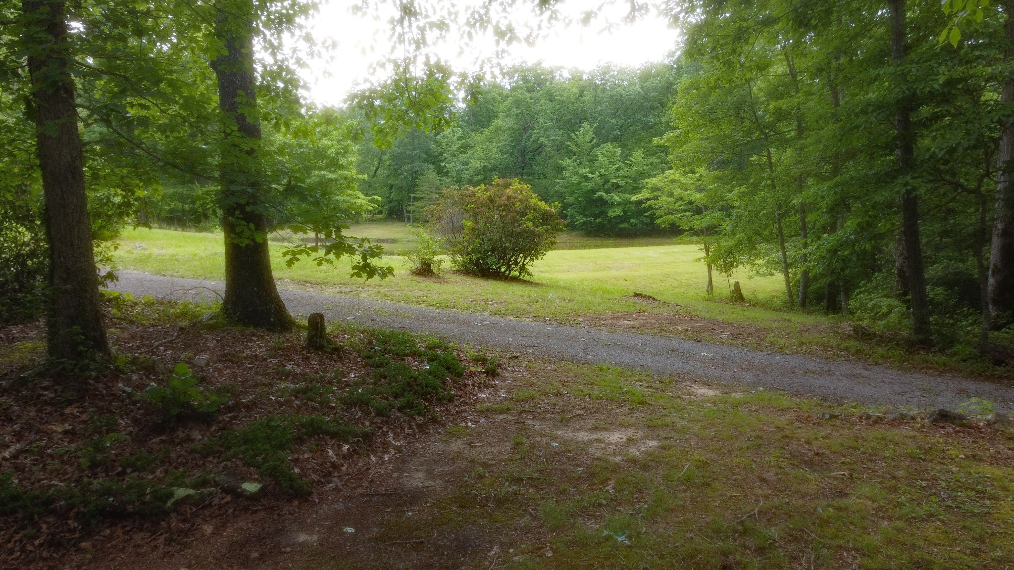 943 Old C C C Road Sherwood, TN 37376 - Photo 56 of 64