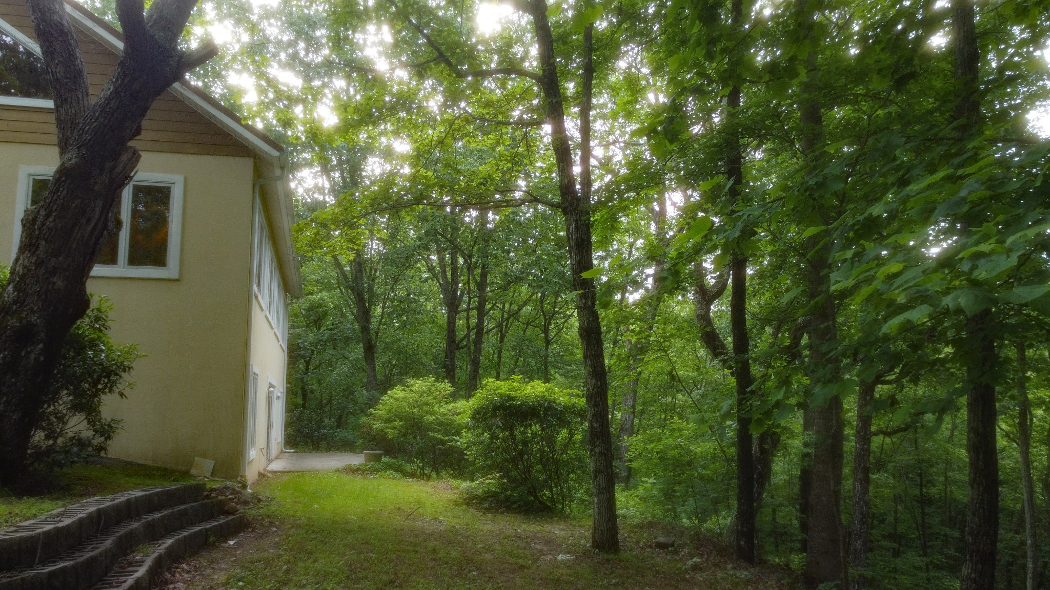 943 Old C C C Road Sherwood, TN 37376 - Photo 6 of 64