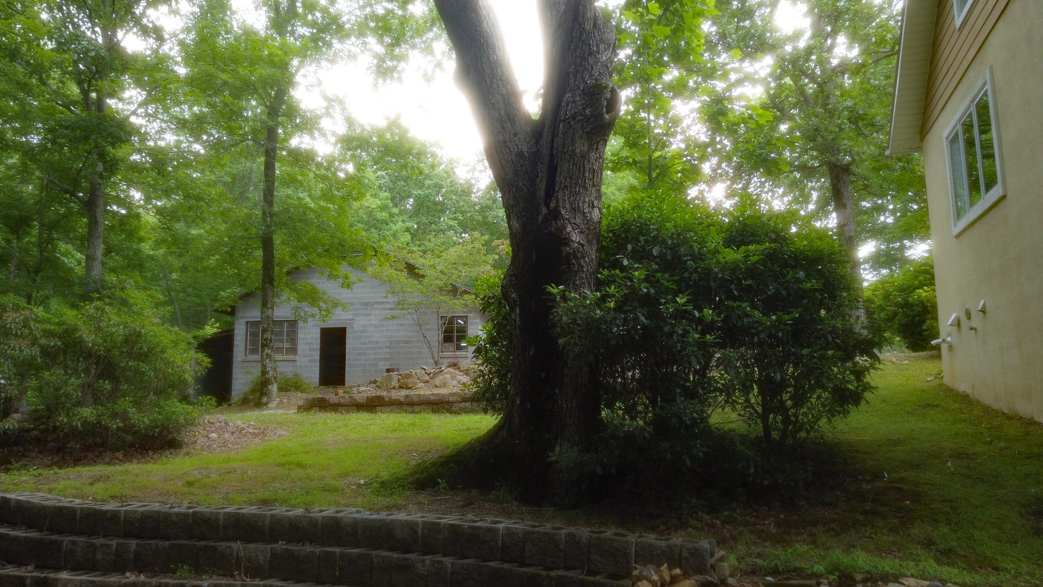 943 Old C C C Road Sherwood, TN 37376 - Photo 7 of 64