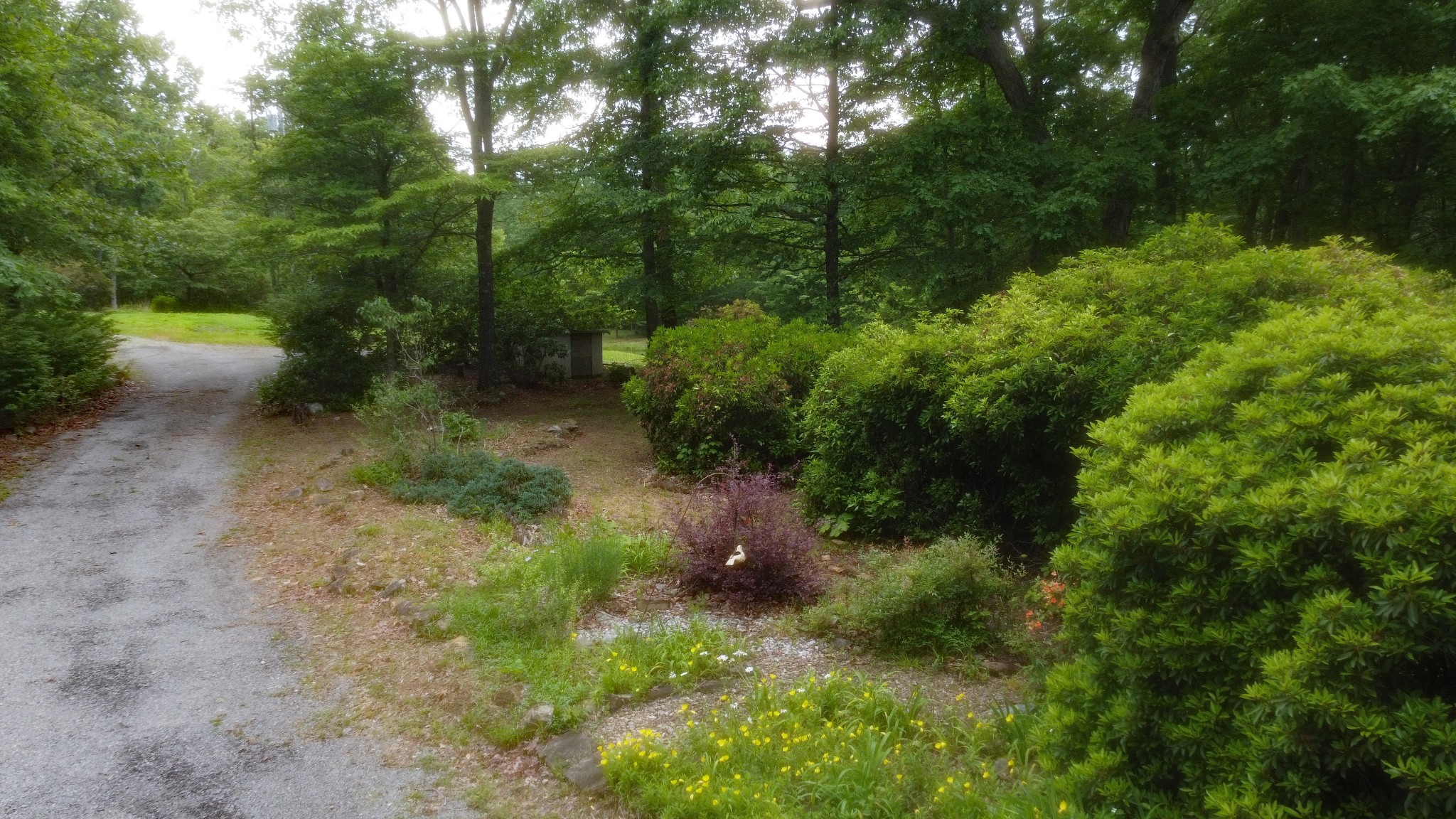 943 Old C C C Road Sherwood, TN 37376 - Photo 10 of 64