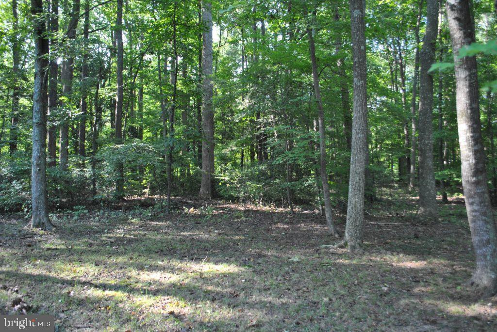 210 Windjammer Road Ocean Pines, MD 21811 - Photo 15 of 15