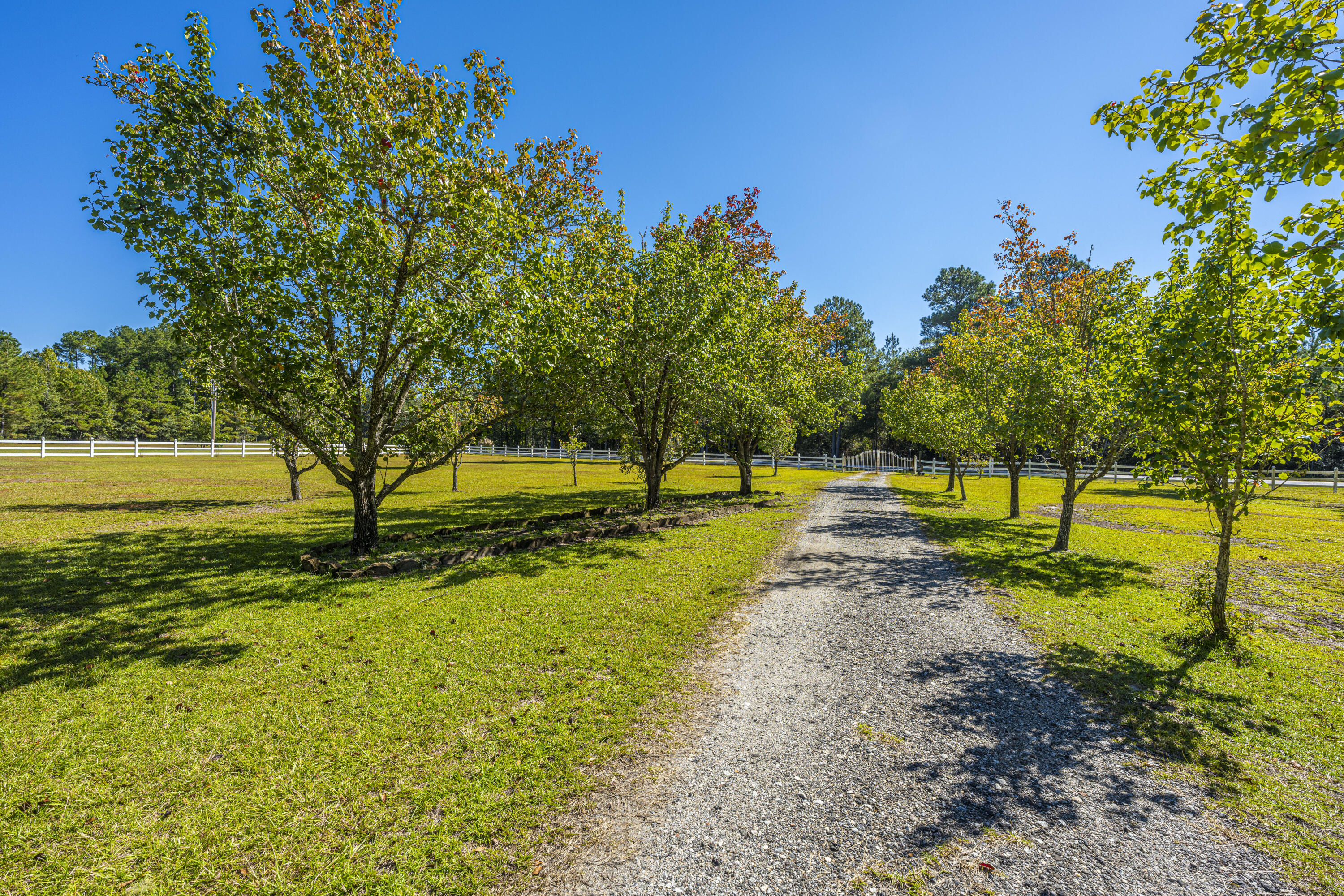 9391 Sidneys Road Round O, SC 29474 - Photo 2 of 43 9391SidneysRd10