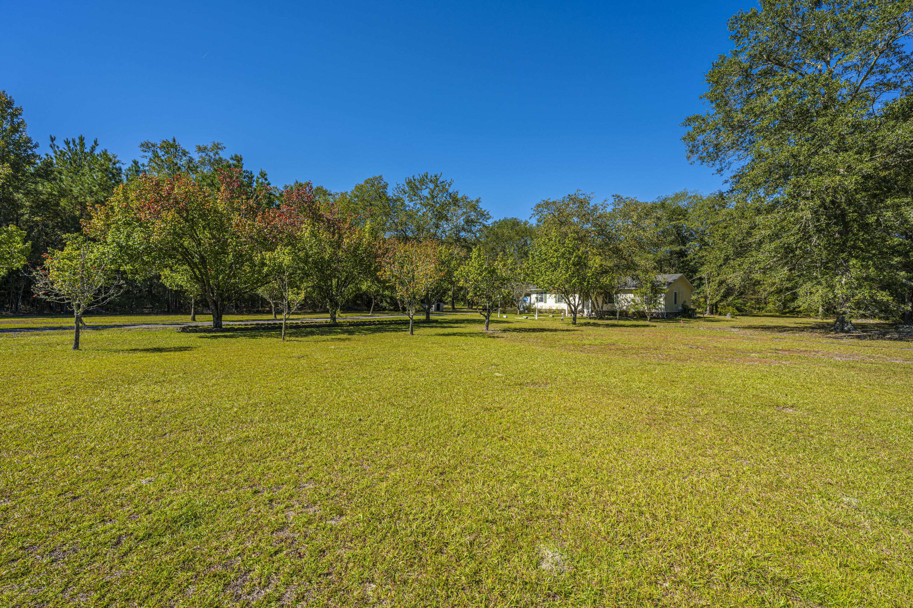 9391 Sidneys Road Round O, SC 29474 - Photo 35 of 43 9391SidneysRd07