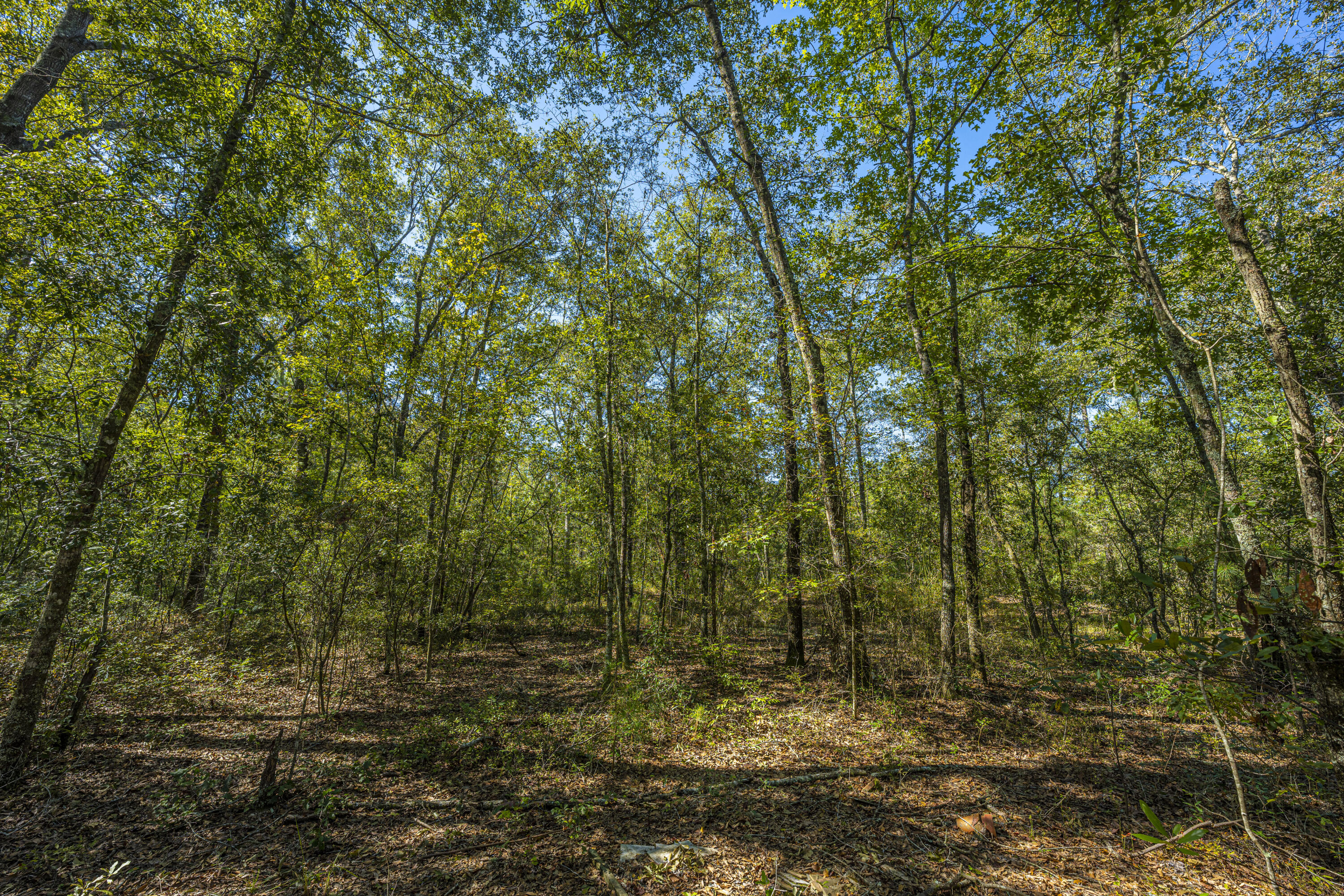 9391 Sidneys Road Round O, SC 29474 - Photo 40 of 43 9391SidneysRd19