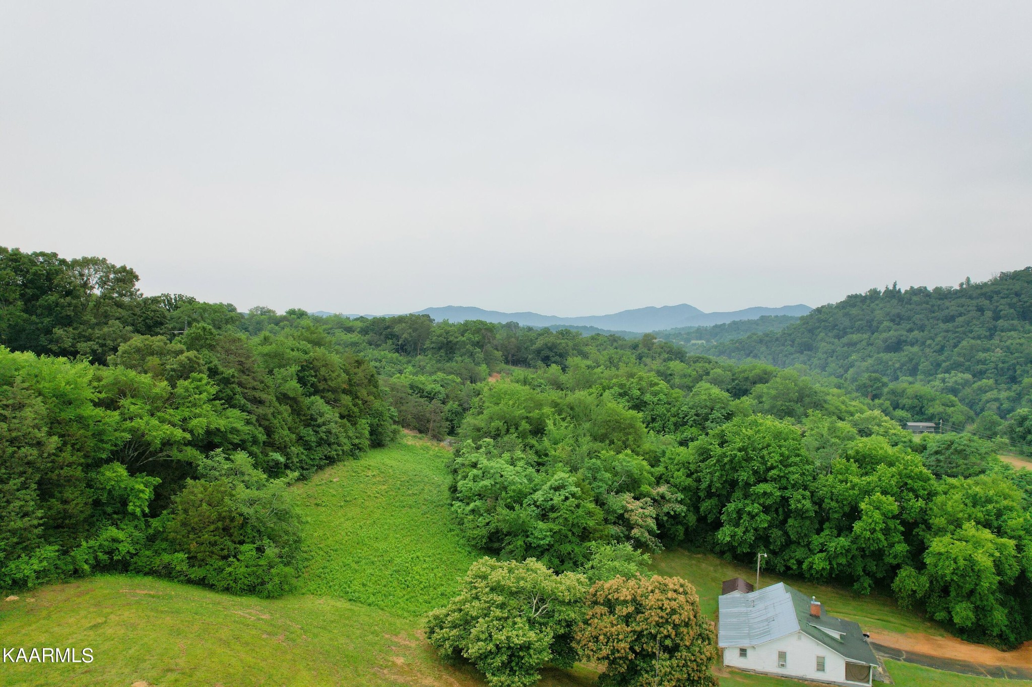 104 Highway 160 Newport, TN 37821 - Photo 8 of 24 a view of a green field with lots of bushes