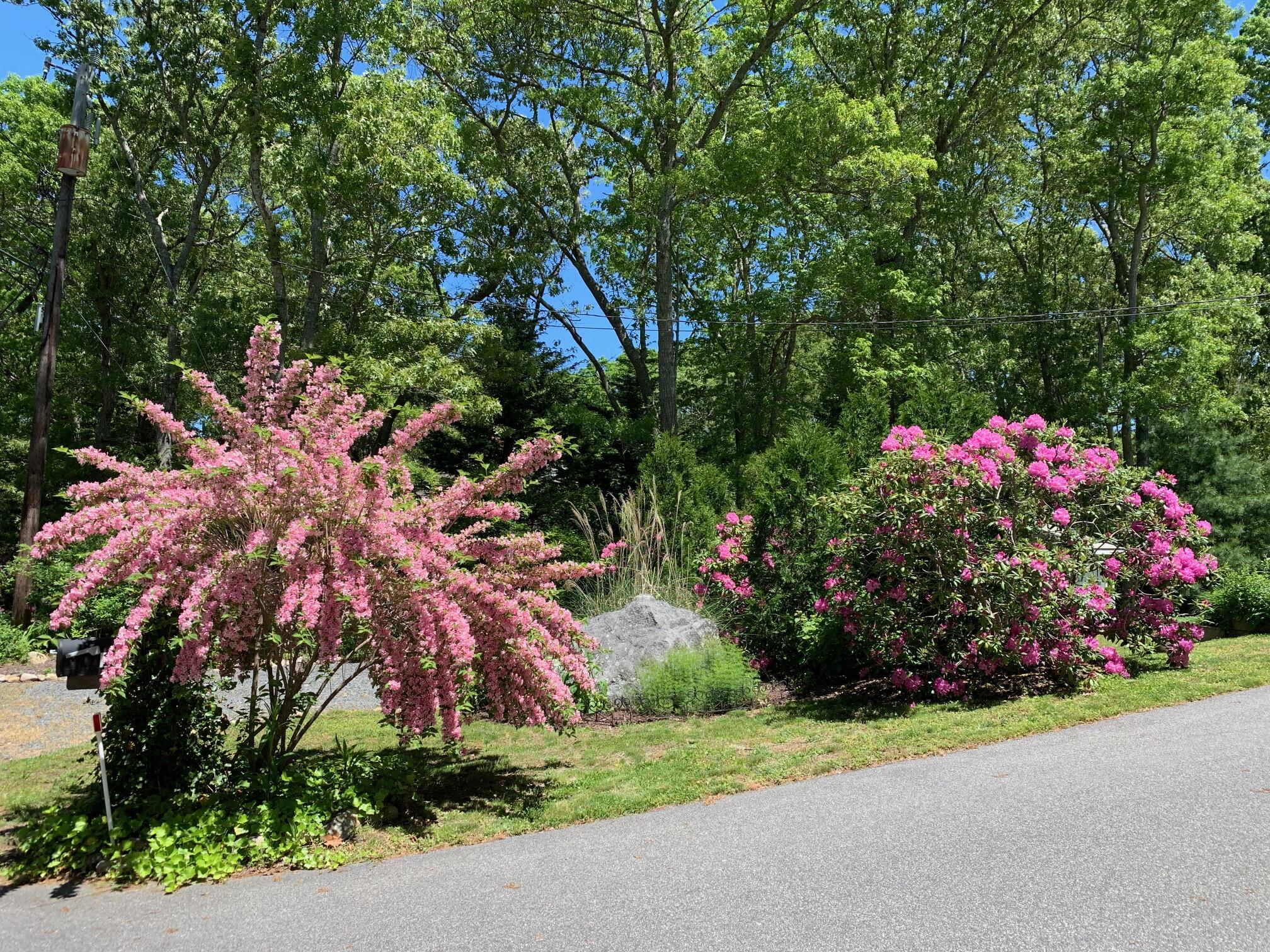 122 Salt Rock Road Barnstable, MA 02630 - Photo 10 of 35 IMG_4230