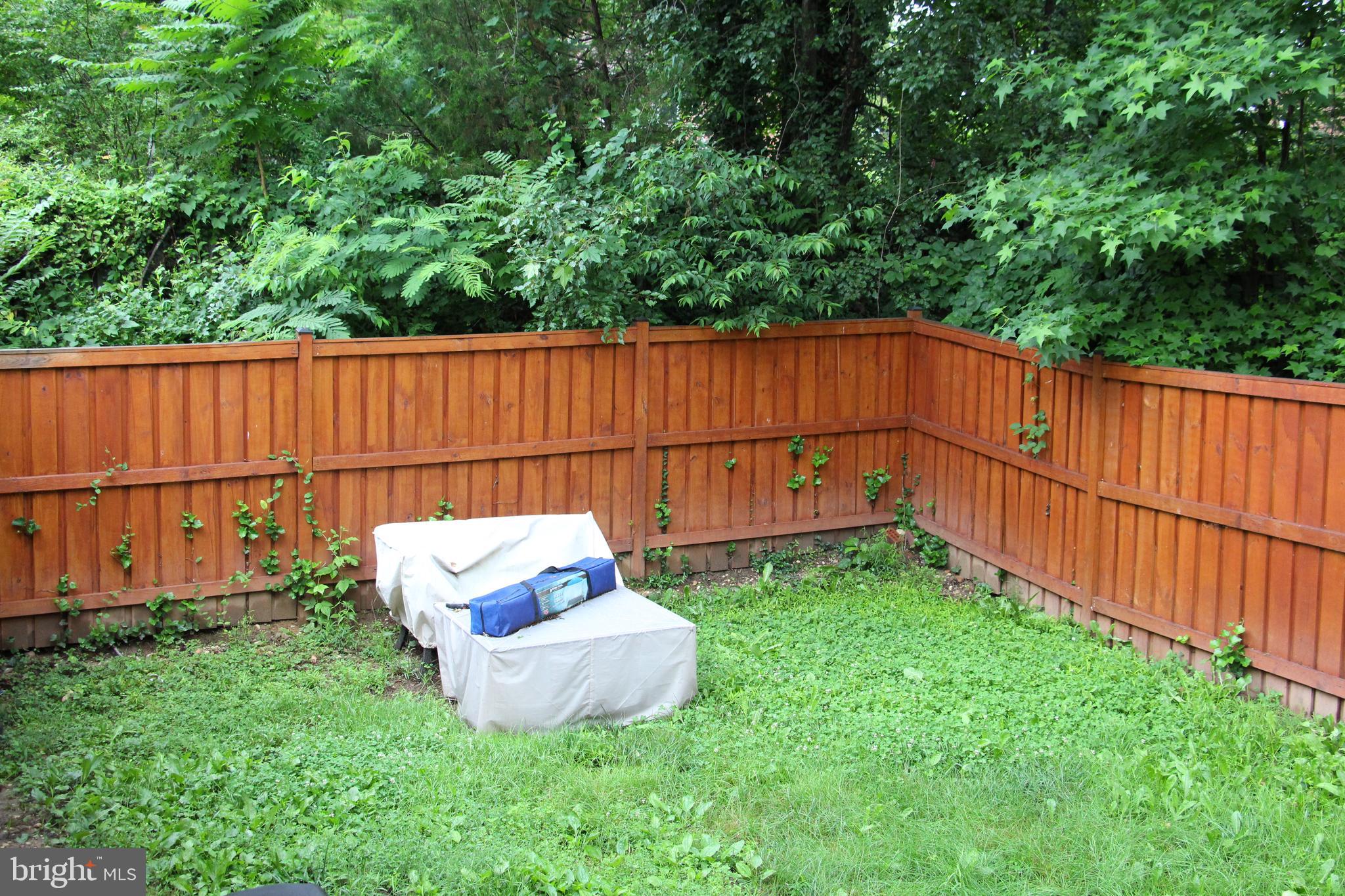 5600 Brookland Road Alexandria, VA 22310 - Photo 16 of 41 Very Private Back Yard!