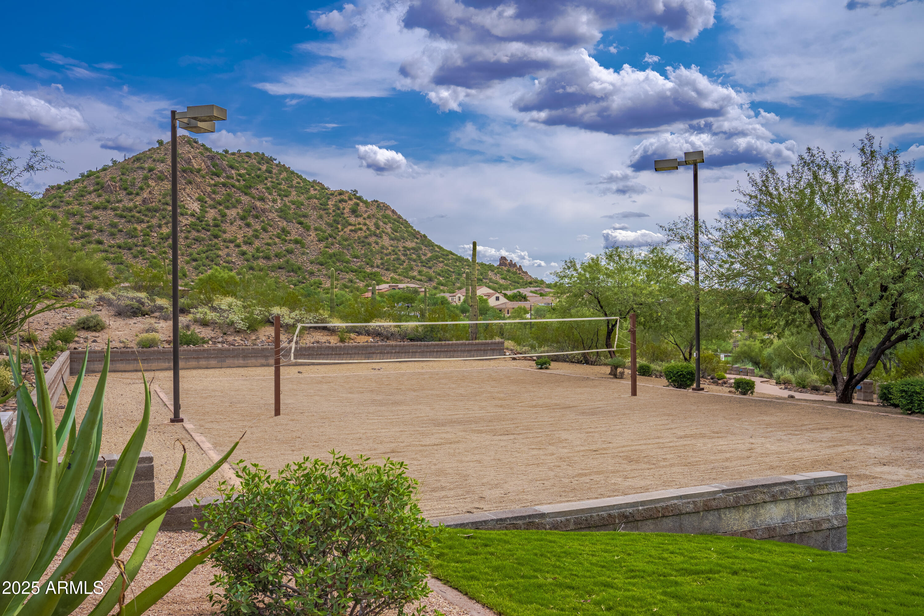 3312 West Florimond Road Phoenix, AZ 85086 - Photo 66 of 69 Volleyball Courts