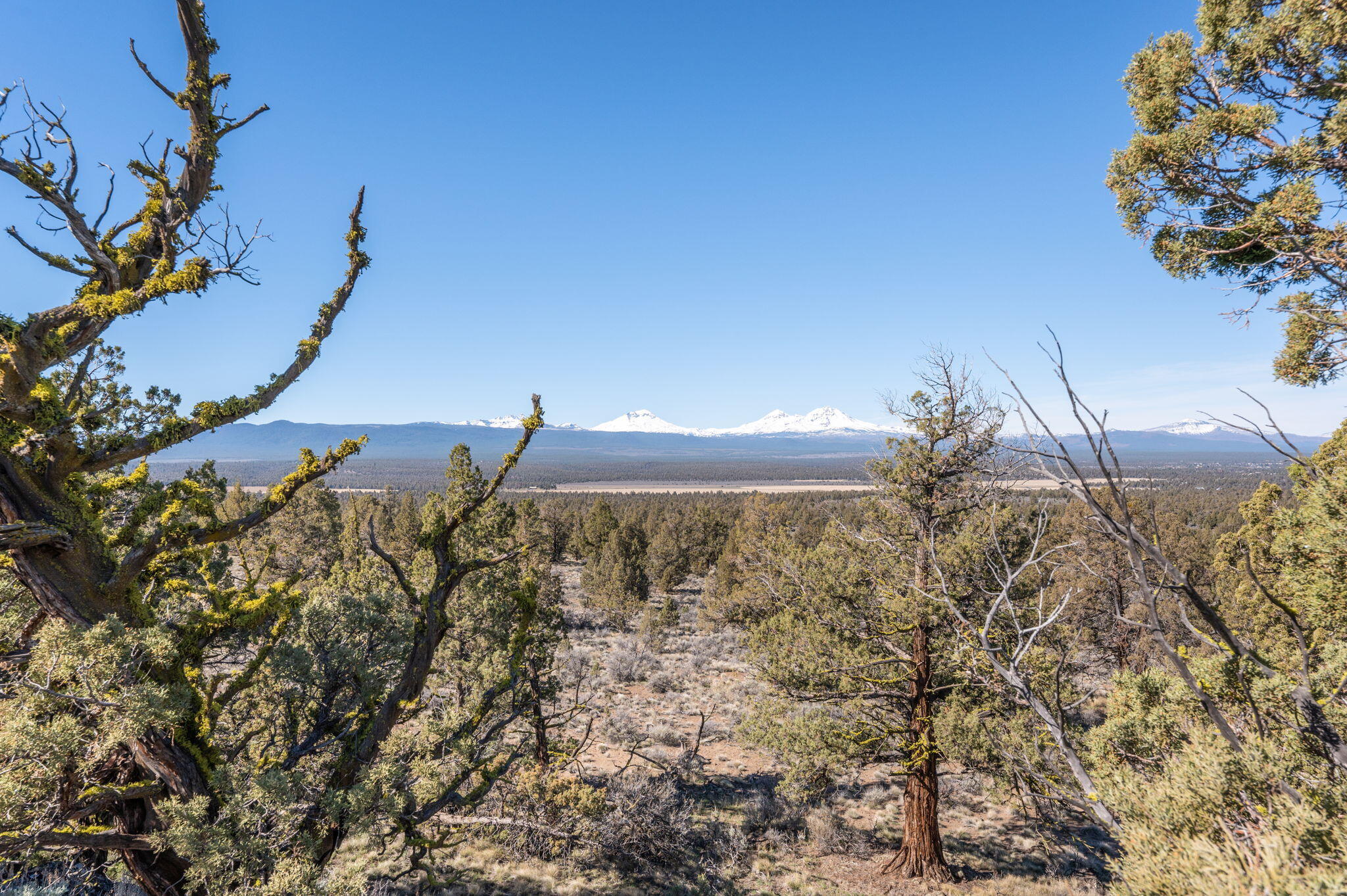 19040 Dusty Loop Bend, OR 97703 - Photo 6 of 27