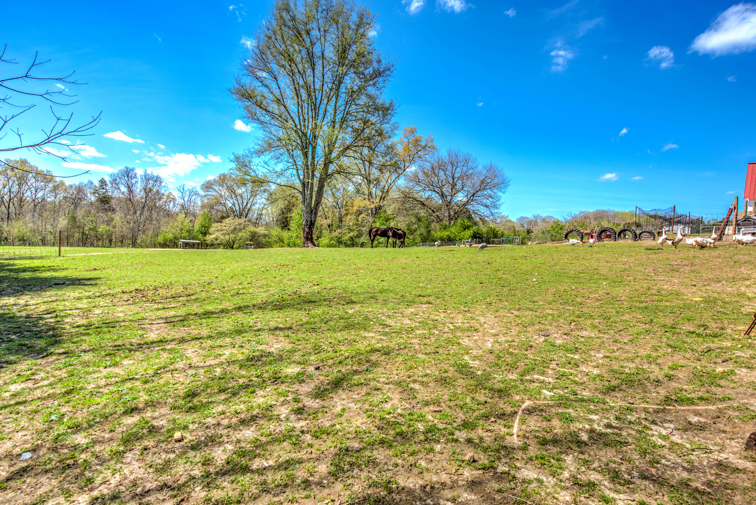208 Key Kile Road Sweetwater, TN 37874 - Photo 35 of 40 44