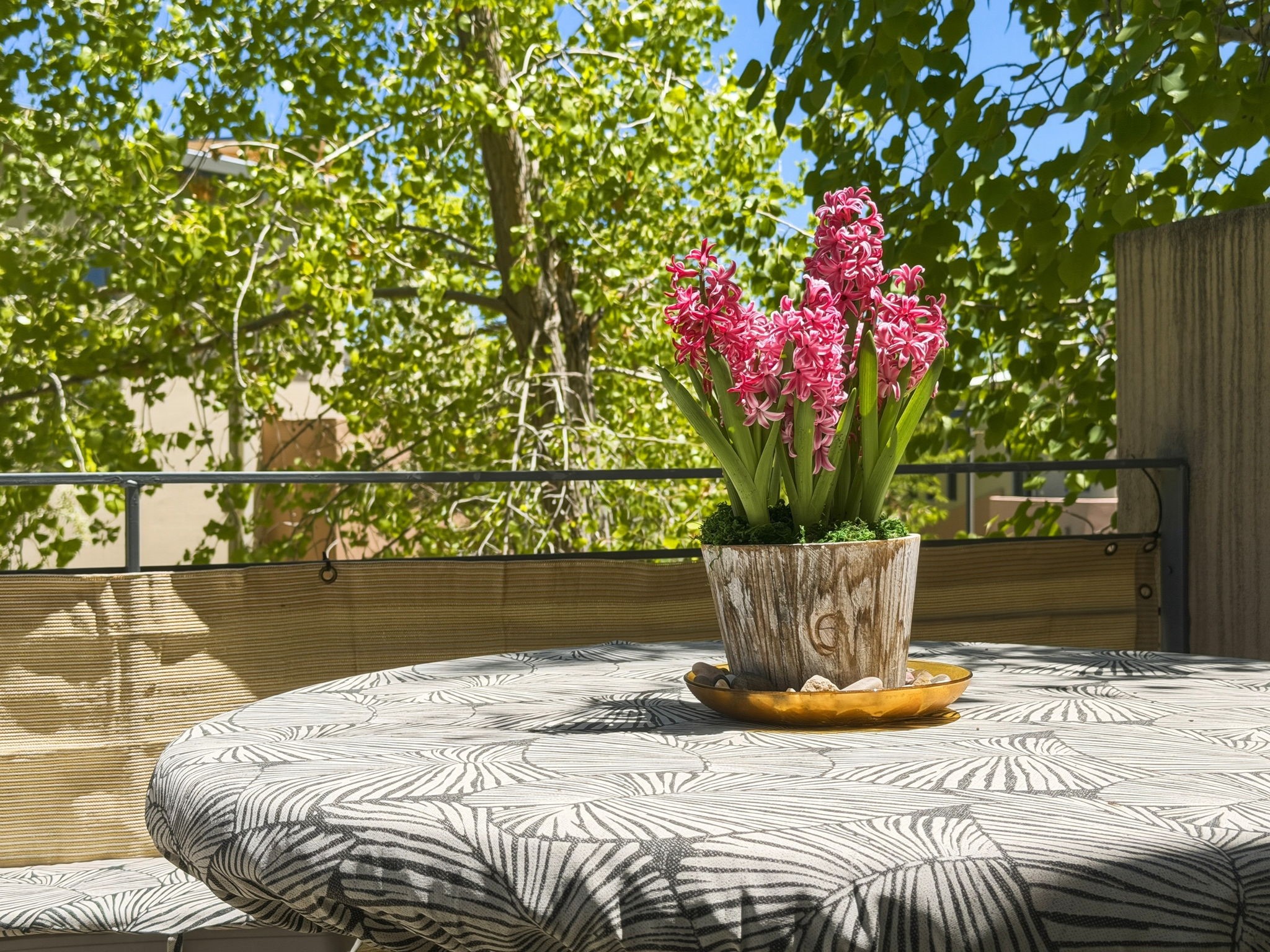 3600 Cerrillos Road, Unit 208 Santa Fe, NM 87507 - Photo 6 of 26