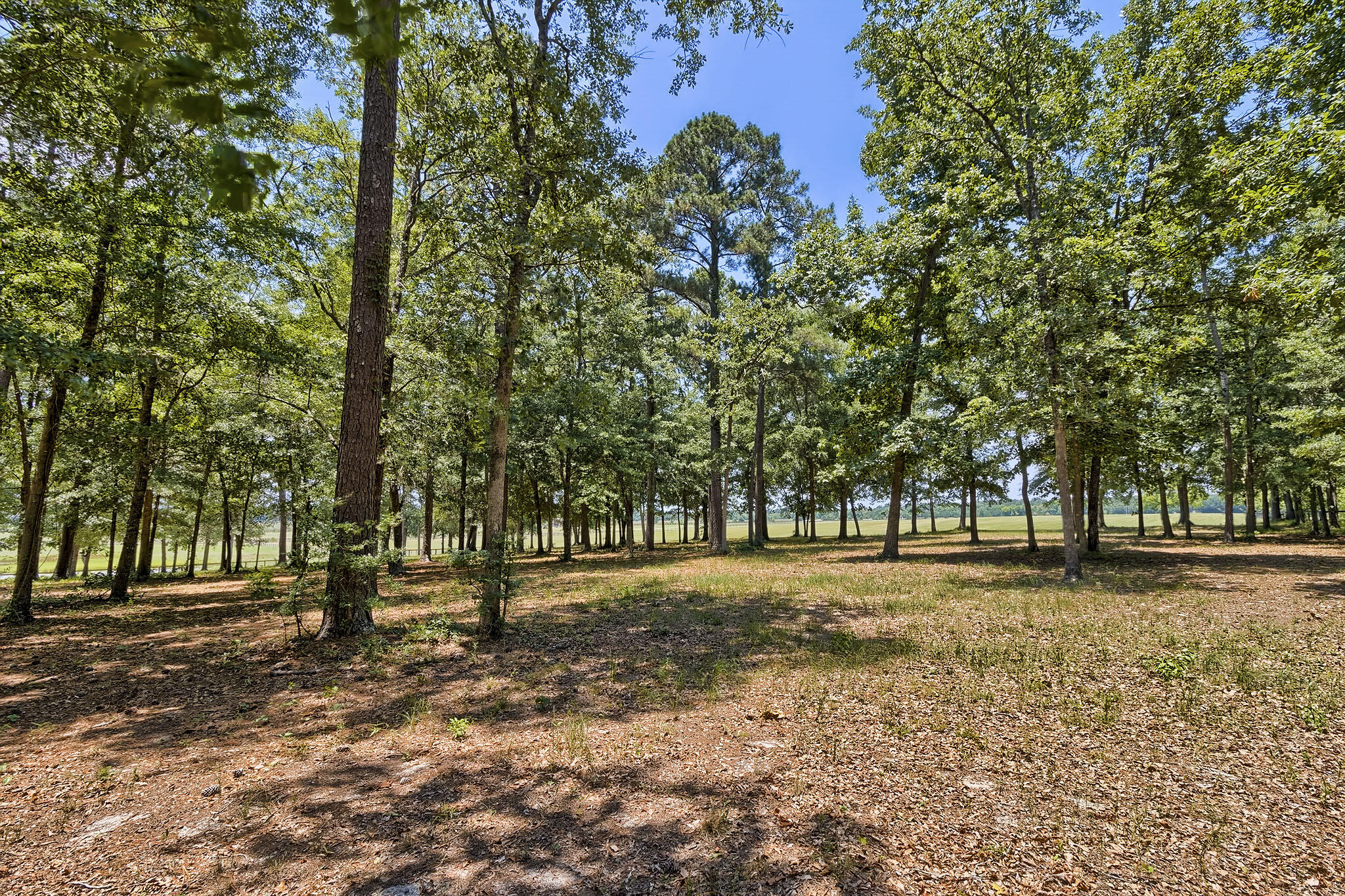 Tbd Wagener Road Aiken, SC 29805 - Photo 11 of 15