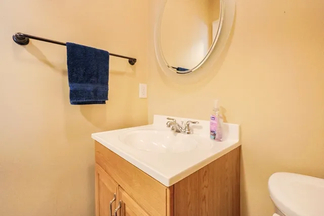 a bathroom with a sink vanity and a mirror