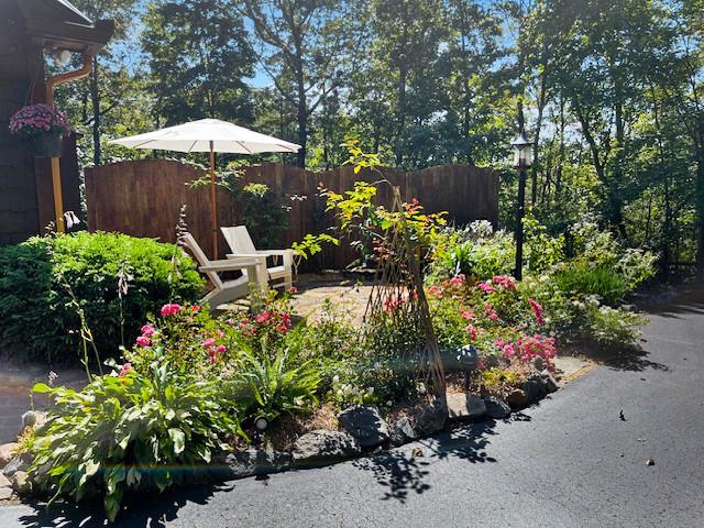 205 Minnehaha Trail Blue Ridge, GA 30513 - Photo 6 of 20 a backyard of a house with lots of green space and garden