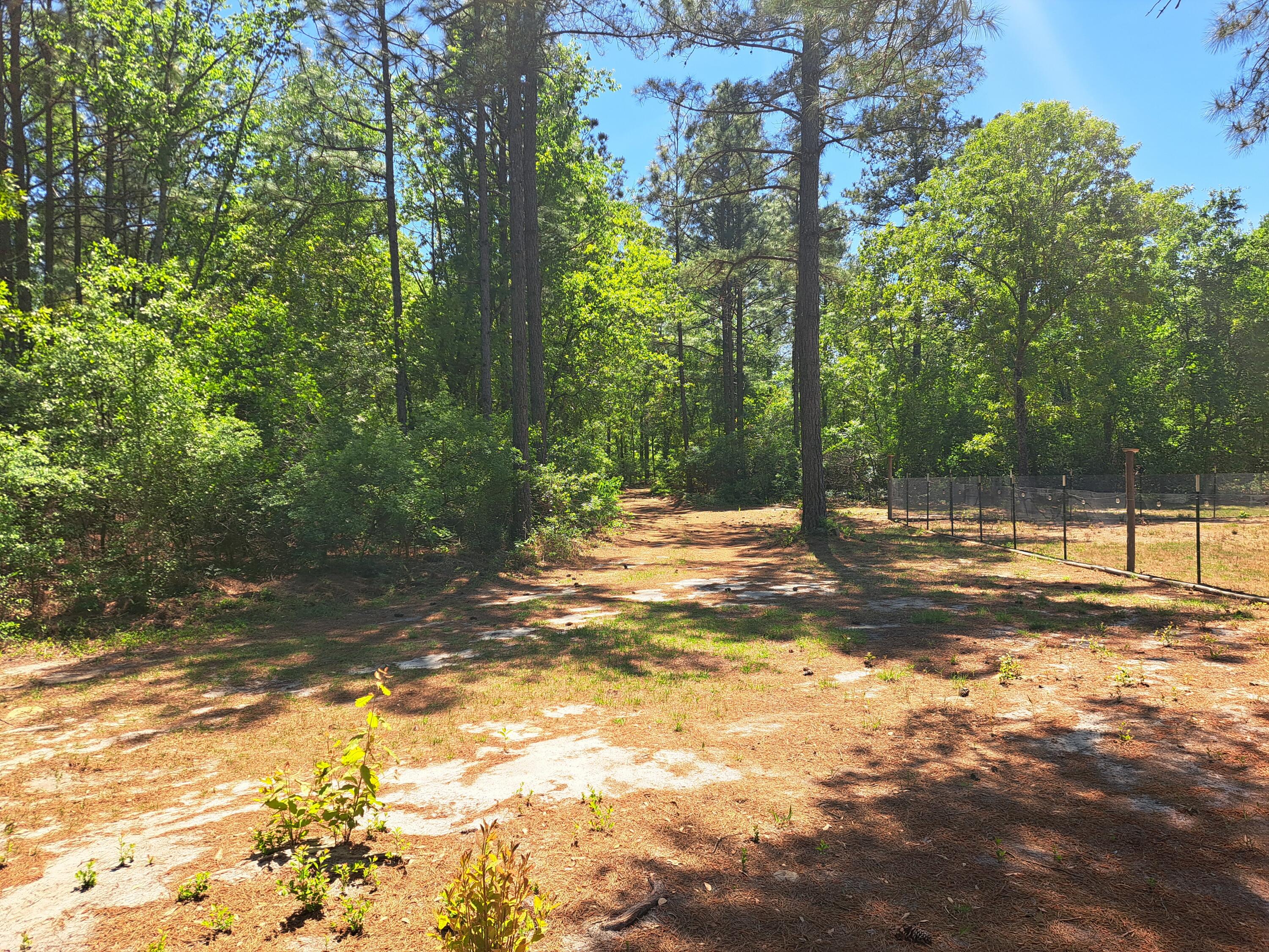 270 Migrant Camp Road Batesburg, SC 29006 - Photo 27 of 30