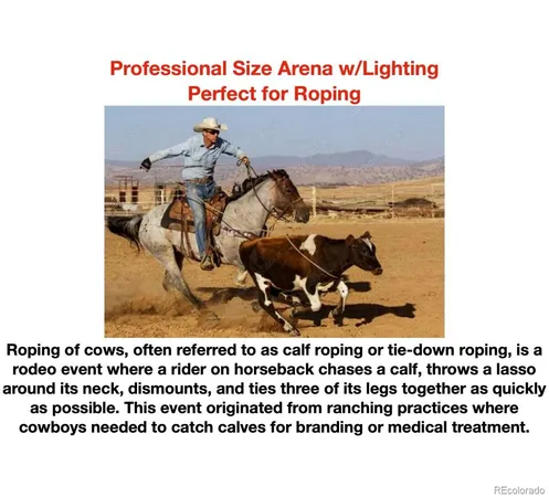 $1,800,000 | 14803 South Wandcrest Drive, Pine, CO 80470