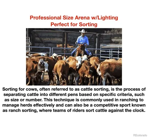 $1,800,000 | 14803 South Wandcrest Drive, Pine, CO 80470