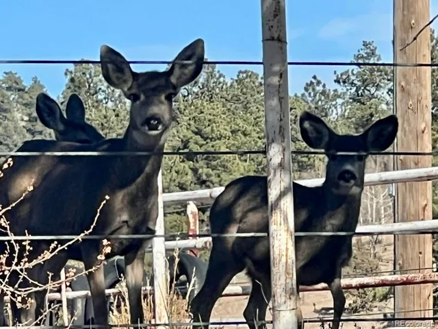 a view of a backyard of a house