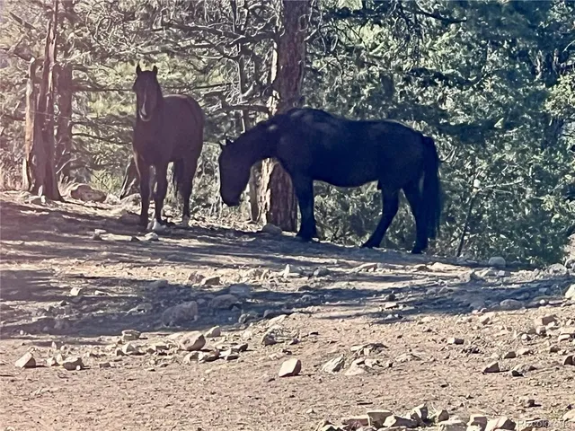 a view of a dry yard with mountains in the background