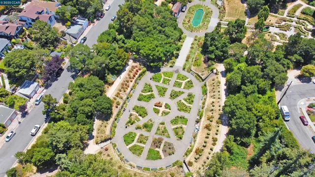 a picture of flowers