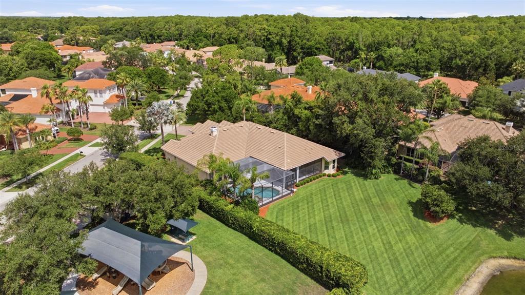 9409 Tree Tops Lake Road Tampa, FL 33626 - Photo 82 of 97