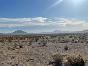 a view of a dry yard with trees