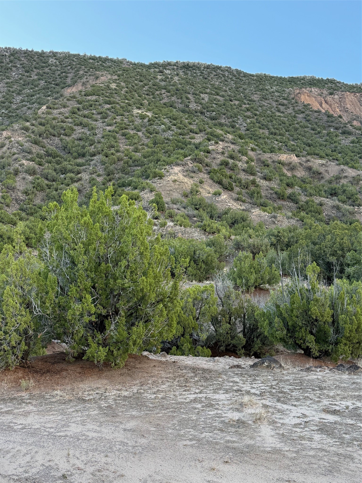Tbd Lot 3 Tbd Road Ojo Caliente, NM 87549 - Photo 11 of 24