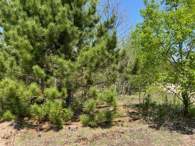 7366 North 47 3/4 Road Manton, MI 49663 - Photo 74 of 78 1911142-74.JPG