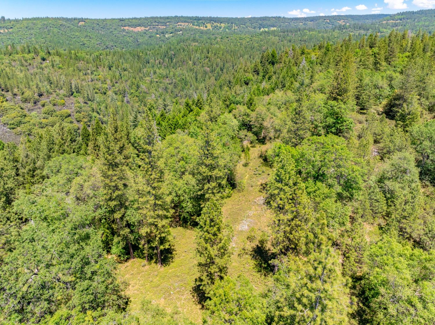 17050 Alicia Drive Volcano, CA 95689 - Photo 13 of 36 a view of a yard with an outdoor space