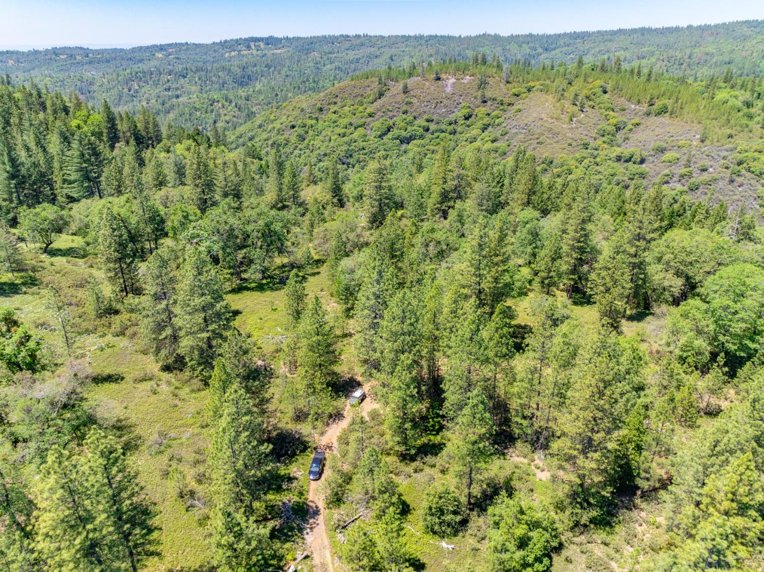17050 Alicia Drive Volcano, CA 95689 - Photo 26 of 36 a view of a field with a lush green forest